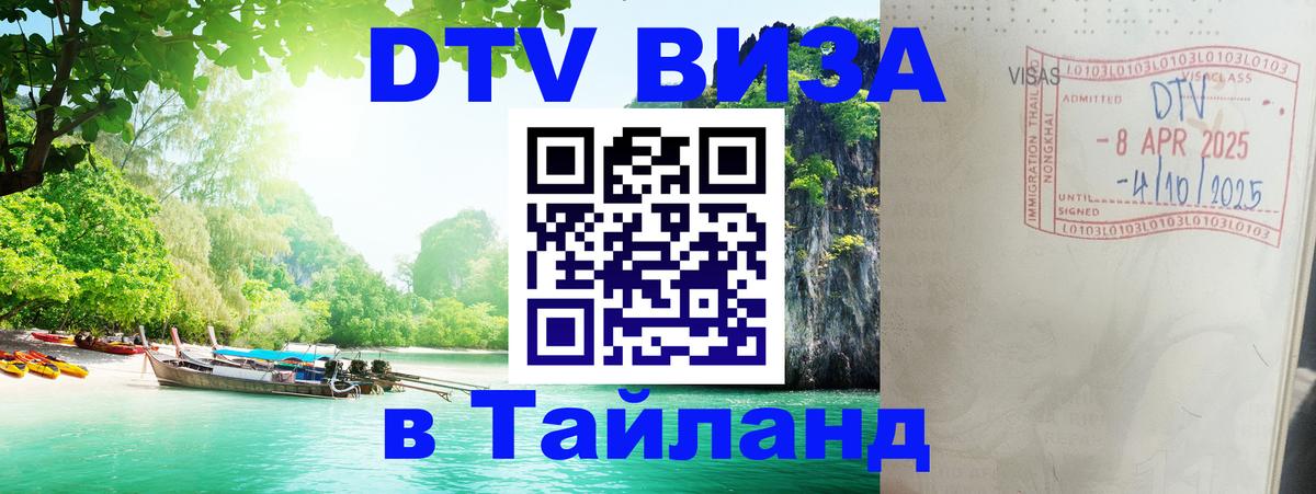 Сколько стоит DTV виза — актуальные цены, оформление даже без документов - онлайн  07.01.2026 
